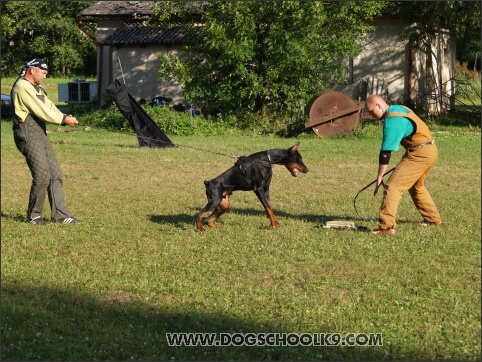 Training camp - Lukova 2007